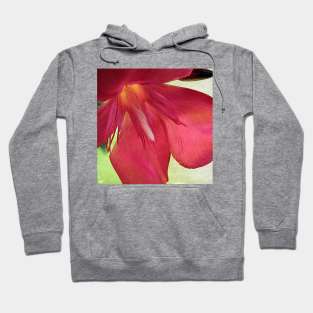 Let Love Envelope You Completely Hoodie